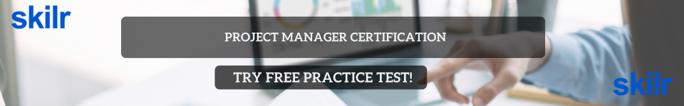 Project Manager 