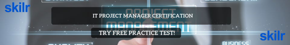  IT Project Manager
