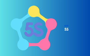 Certificate in 5S