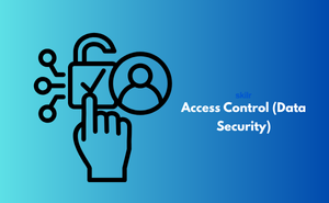 Certificate in Access Control (Data Security)
