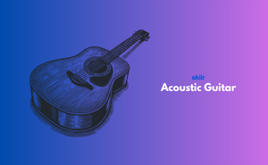 Acoustic Guitar
