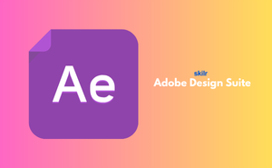Adobe Design Suite