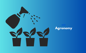 Certificate in Agronomy