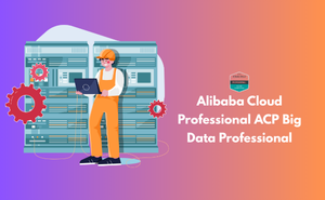 Alibaba Cloud Professional ACP Big Data Professional Exam