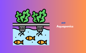 Aquaponics