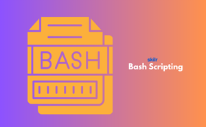 Bash Scripting