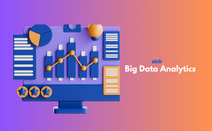 Big Data Analytics