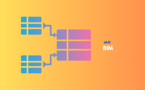 BIM
