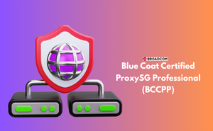 Blue Coat Certified ProxySG Professional (BCCPP)
