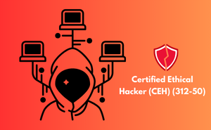 Certified Ethical Hacker (CEH) (312-50)