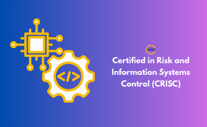 Certified in Risk and Information Systems Control (CRISC)