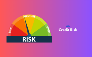 Credit Risk Exam