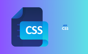 Certificate in CSS