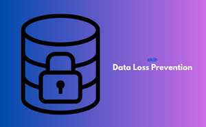 Certificate in Data Loss Prevention