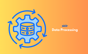 Certificate in Data Processing