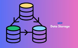 Certificate in Data Storage