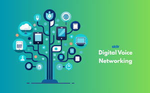 Digital Voice Networking