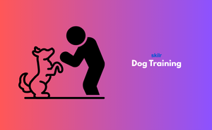 Certificate in Dog Training