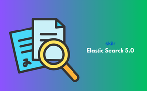 Elastic Search 5.0
