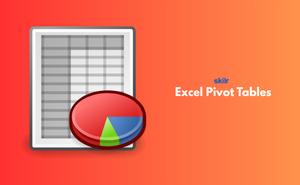 Excel Pivot Tables