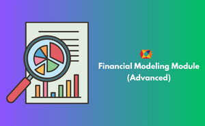 Financial Modeling Module (Advanced)