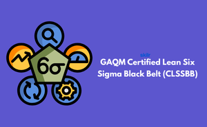 Certified Lean Six Sigma Black Belt (CLSSBB)