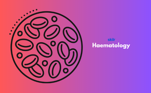 Certificate in Haematology