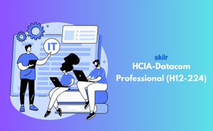 HCIA-Datacom Professional (H12-224)