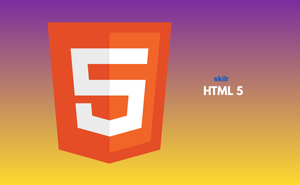 HTML 5