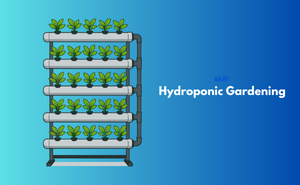 Certificate in Hydroponic Gardening