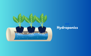 Hydroponics