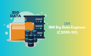 IBM Big Data Engineer (C2090-101)