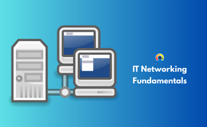 IT Networking Fundamentals