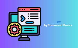 Jq Command Basics