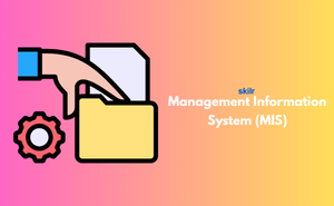 Certificate in Management Information System (MIS)
