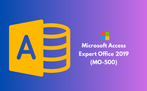 Microsoft Access Expert Office 2019 (MO-500)