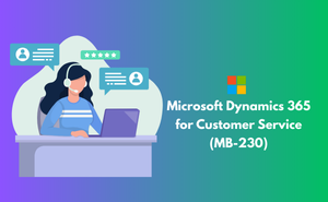 Microsoft Dynamics 365 for Customer Service (MB-230) Exam