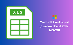 Microsoft Excel Expert (Excel and Excel 2019) MO-201 Exam