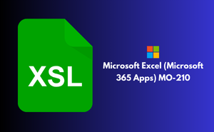 Microsoft Excel (Microsoft 365 Apps) MO-210