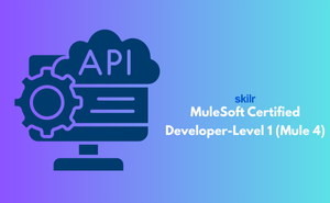 MuleSoft Certified Developer-Level 1 (Mule 4) Exam