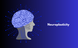 Certificate in Neuroplasticity
