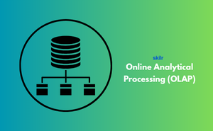 Certificate in Online Analytical Processing (OLAP)