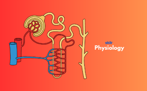 Certificate in Physiology