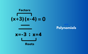 Certificate in Polynomials