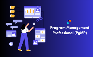 Program Management Professional (PgMP) Exam