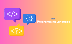 Programming Exam