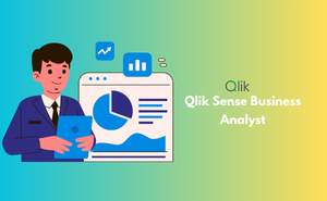 Qlik Sense Business Analyst
