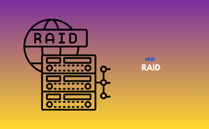 Certificate in RAID
