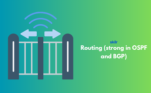 Certificate in Routing (strong in OSPF and BGP)