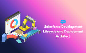Salesforce Development Lifecycle and Deployment Architect